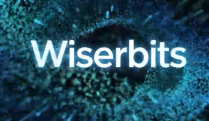 Wiser Bits leverages AI to optimize content.