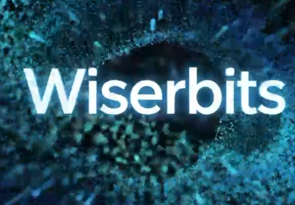 Wiser Bits leverages AI to optimize content.