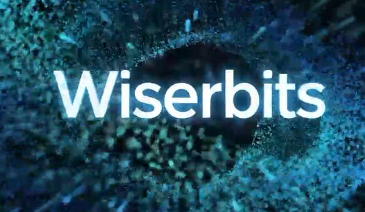 Wiser Bits leverages AI to optimize content.